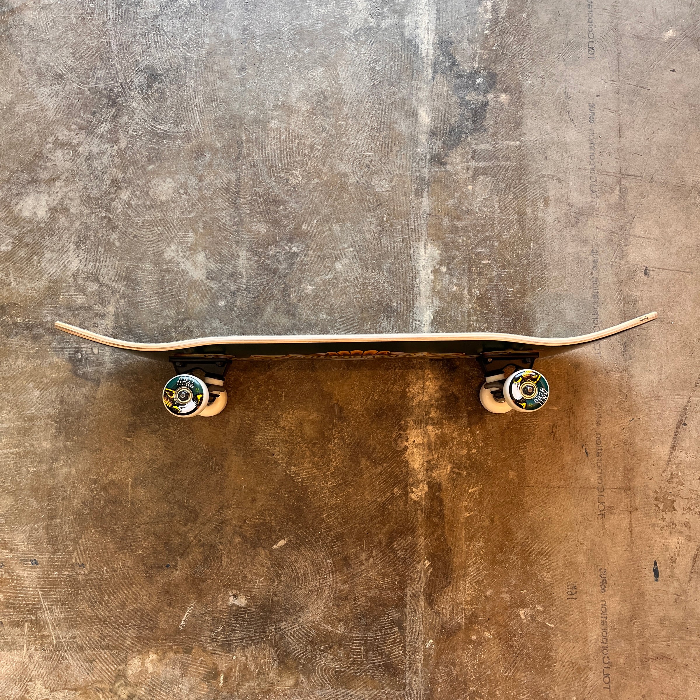 ANTI HERO] COMPLETE SKATEBOARD CLASSIC EAGLE 8.25 x 32.2 | Cambie