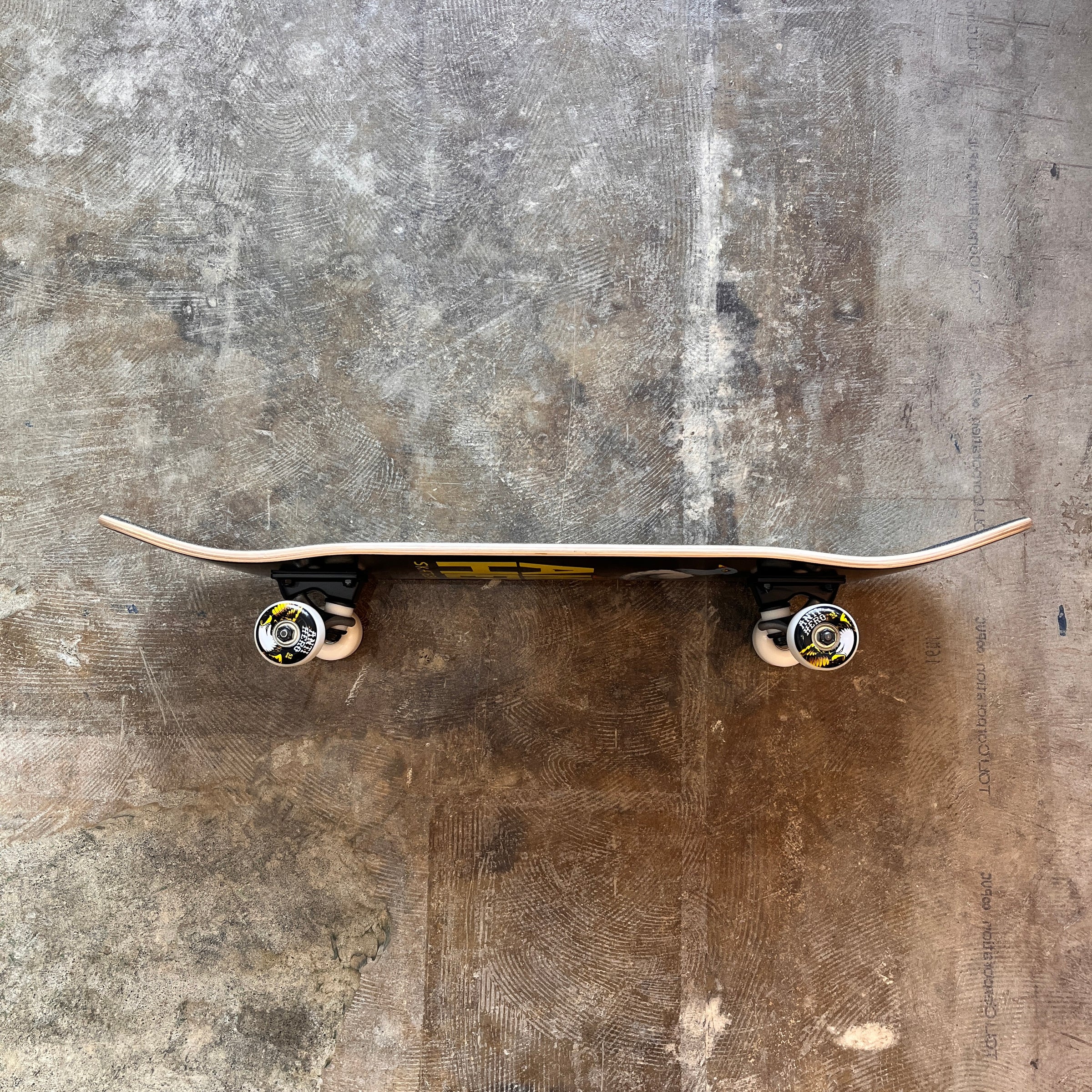 ANTI HERO] COMPLETE SKATEBOARD 8inch | Cambie SkateShop